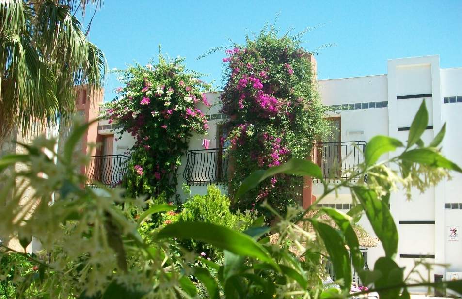 Kriss Otel Ortakent Bagian luar foto